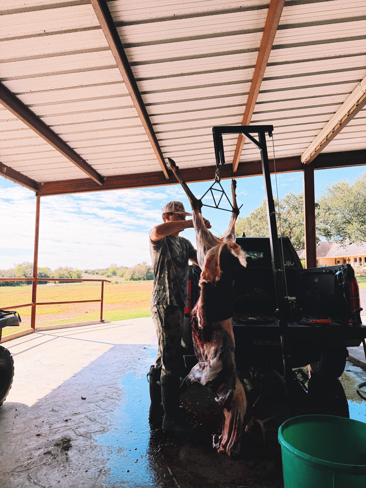 HITCH HOIST W/ ELECTRIC WINCH