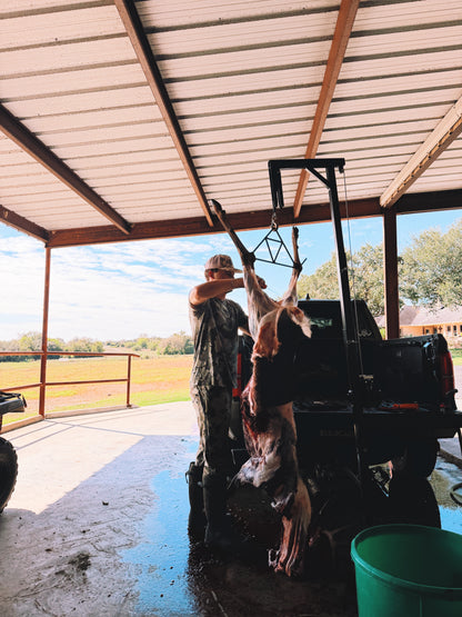 HITCH HOIST W/ ELECTRIC WINCH