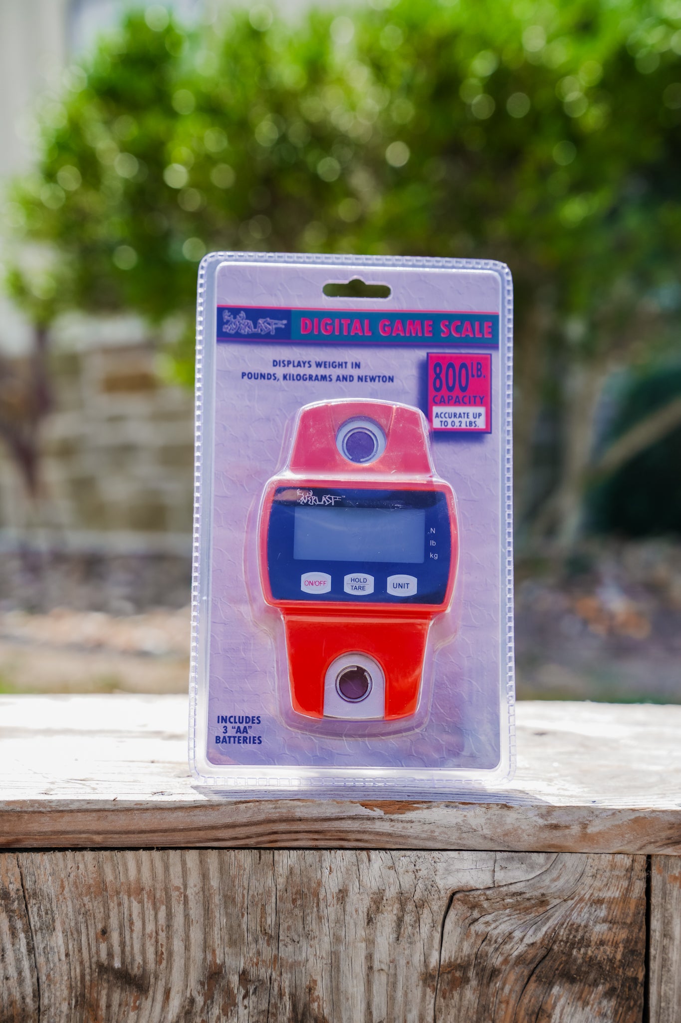 DIGITAL BIG GAMES SCALE